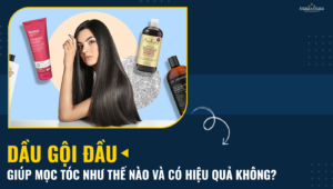 dau goi dau giup moc toc