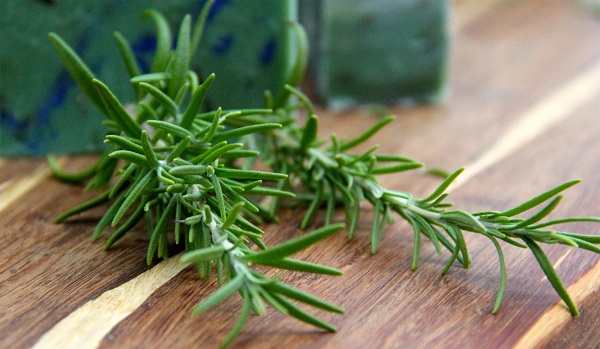 Hương thảo là loại cây được ứng dụng trong nhiều lĩnh vực